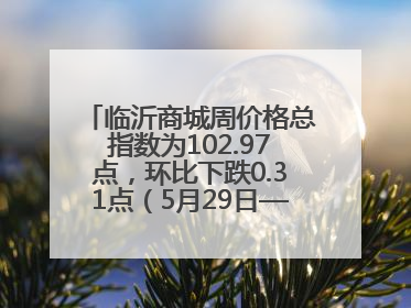 临沂商城周价格总指数为102.97点，环比下跌0.31点（5月29日—6月4日）