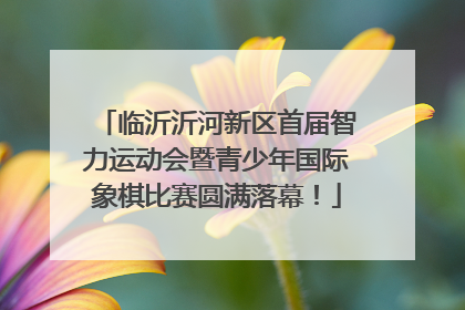 临沂沂河新区首届智力运动会暨青少年国际象棋比赛圆满落幕！