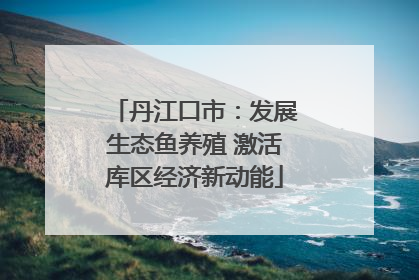 丹江口市：发展生态鱼养殖 激活库区经济新动能