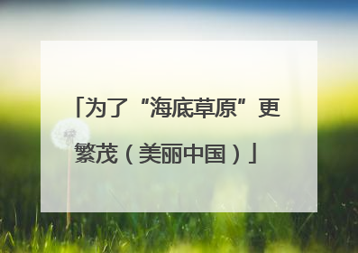 为了“海底草原”更繁茂（美丽中国）