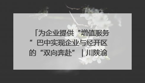 为企业提供“增值服务”巴中实现企业与经开区的“双向奔赴”｜川陕渝网络名人巴中行