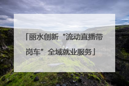 丽水创新“流动直播带岗车”全域就业服务