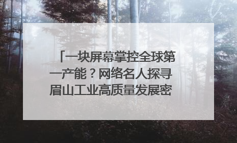 一块屏幕掌控全球第一产能？网络名人探寻眉山工业高质量发展密码｜网络名人四川行