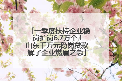 一季度扶持企业稳岗扩岗6.7万个！山东千万元稳岗贷款解了企业燃眉之急
