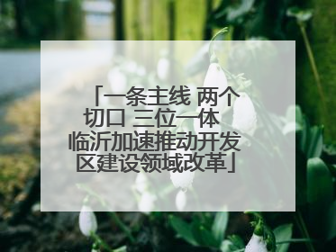 一条主线 两个切口 三位一体 临沂加速推动开发区建设领域改革