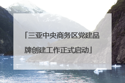 三亚中央商务区党建品牌创建工作正式启动