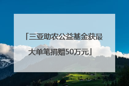 三亚助农公益基金获最大单笔捐赠50万元