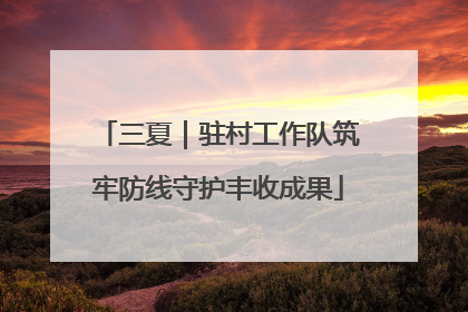 三夏｜驻村工作队筑牢防线守护丰收成果