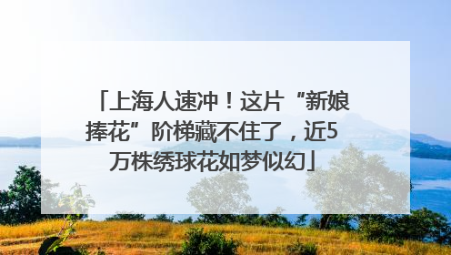 上海人速冲！这片“新娘捧花”阶梯藏不住了，近5万株绣球花如梦似幻