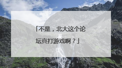 不是，北大这个论坛真打游戏啊？