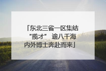 东北三省一区集结“揽才” 逾八千海内外博士奔赴而来