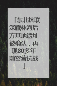 东北抗联深藏林海后方基地遗址被确认，再现80多年前密营抗战