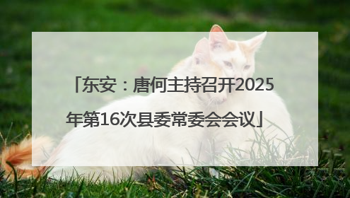 东安：唐何主持召开2025年第16次县委常委会会议