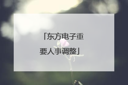 东方电子重要人事调整