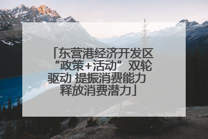 东营港经济开发区“政策+活动”双轮驱动 提振消费能力 释放消费潜力