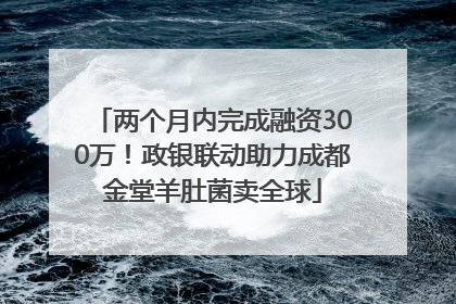 两个月内完成融资300万！政银联动助力成都金堂羊肚菌卖全球