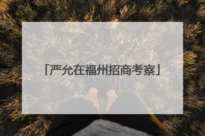 严允在福州招商考察