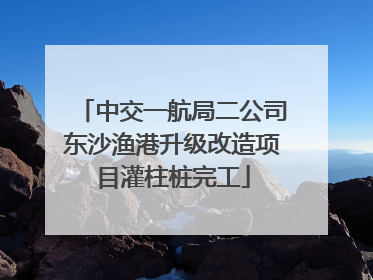 中交一航局二公司东沙渔港升级改造项目灌柱桩完工
