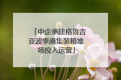 中企承建格鲁吉亚波季港集装箱堆场投入运营