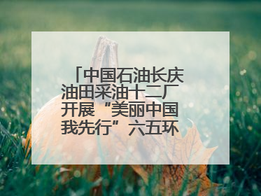 中国石油长庆油田采油十二厂开展“美丽中国我先行”六五环境日主题活动