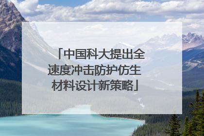 中国科大提出全速度冲击防护仿生材料设计新策略