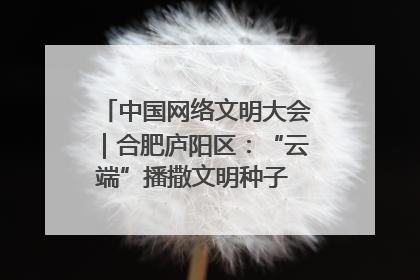 中国网络文明大会｜合肥庐阳区：“云端”播撒文明种子 共建清朗网络空间