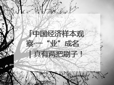 中国经济样本观察·一“业”成名｜真有两把刷子！“刷”出30亿级“颜值经济”