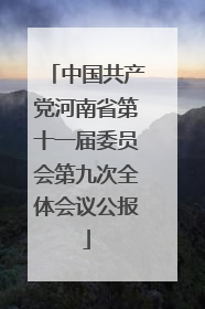 中国共产党河南省第十一届委员会第九次全体会议公报