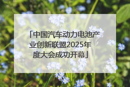 中国汽车动力电池产业创新联盟2025年度大会成功开幕
