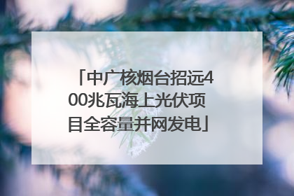 中广核烟台招远400兆瓦海上光伏项目全容量并网发电