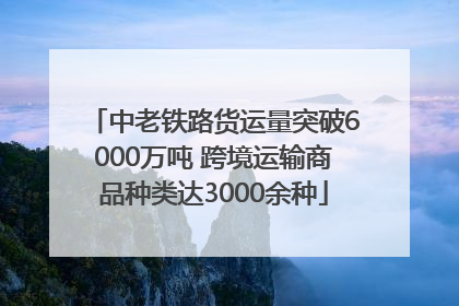 中老铁路货运量突破6000万吨 跨境运输商品种类达3000余种