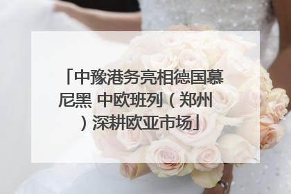 中豫港务亮相德国慕尼黑 中欧班列（郑州）深耕欧亚市场