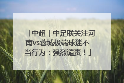 中超｜中足联关注河南vs蓉城极端球迷不当行为：强烈谴责！