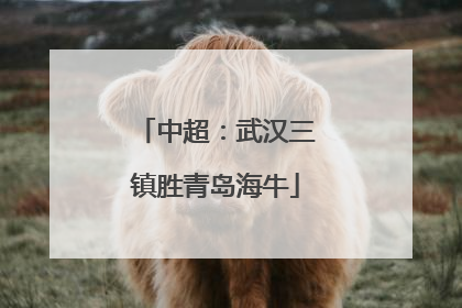 中超：武汉三镇胜青岛海牛