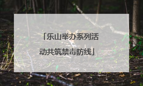 乐山举办系列活动共筑禁毒防线