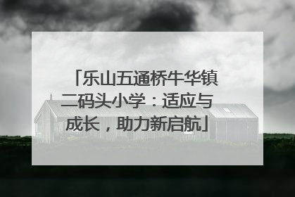 乐山五通桥牛华镇二码头小学：适应与成长，助力新启航