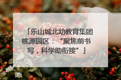乐山城北幼教育集团桃源园区：“聚焦前书写，科学助衔接”