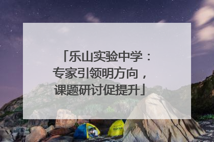 乐山实验中学：专家引领明方向，课题研讨促提升