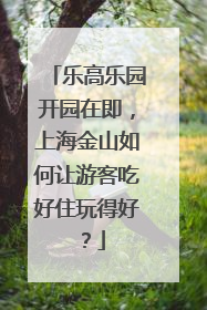 乐高乐园开园在即，上海金山如何让游客吃好住玩得好？