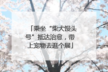 乘坐“柴犬馒头号”抵达治愈，带上宠物去逛个展