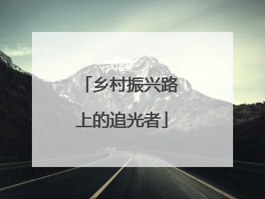 乡村振兴路上的追光者