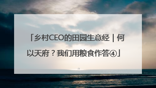 乡村CEO的田园生意经｜何以天府？我们用粮食作答④