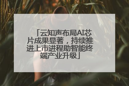 云知声布局AI芯片成果显著，持续推进上市进程助智能终端产业升级