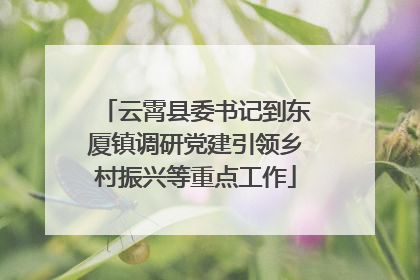 云霄县委书记到东厦镇调研党建引领乡村振兴等重点工作