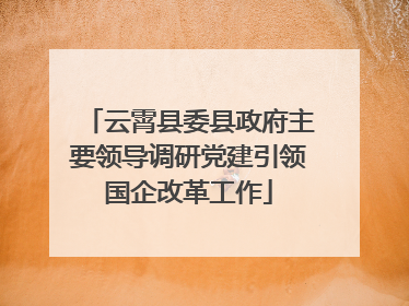 云霄县委县政府主要领导调研党建引领国企改革工作