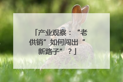 产业观察：“老供销”如何闯出“新路子”？
