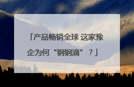 产品畅销全球 这家豫企为何“钢钢滴”？