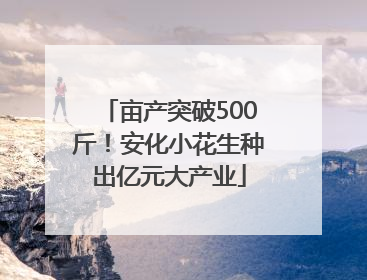 亩产突破500斤！安化小花生种出亿元大产业