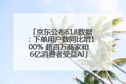 京东公布618数据：下单用户数同比增100% 超百万商家和6亿消费者受益AI