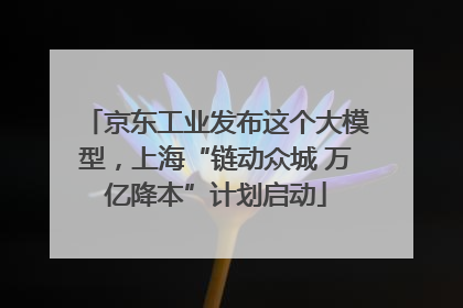 京东工业发布这个大模型，上海“链动众城 万亿降本”计划启动